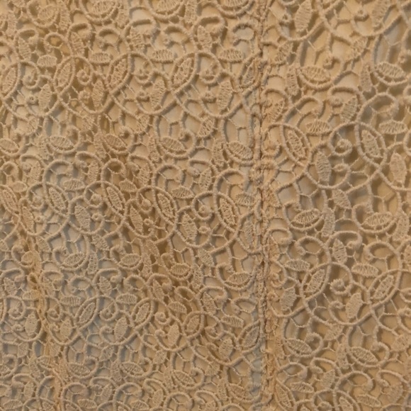 NWT Talbots Lace Sheath Dress - Picture 6 of 6